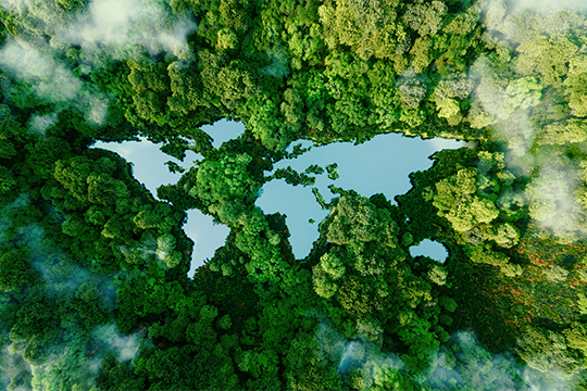 A lake in the shape of the world's continents in the middle of untouched nature.